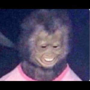 Meet your Posher, Alberto